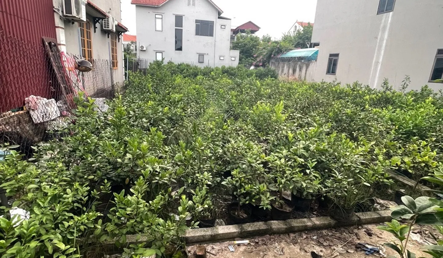 Đất Phân Lô Văn Giang Giá Sốc, Ô Tô Đỗ Cửa... Bán đất tại Văn Giang, Hưng Yên 01