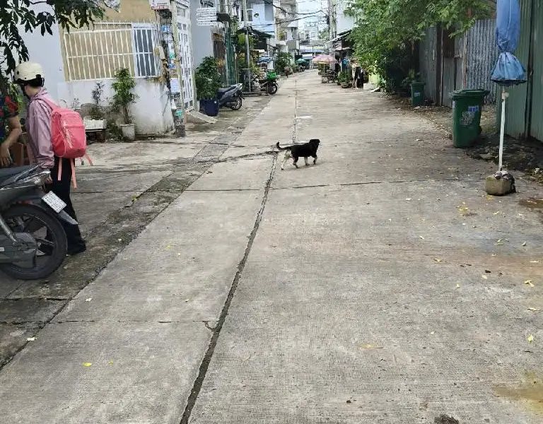 Bán nhà riêng 4 tầng phường Bình Trị Đông quận Bình Tân, sổ vuông diện tích 78.9 m2... Bán nhà riêng tại Bình Trị Đông, Hồ Chí Minh 01
