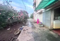 BÁN ĐẤT VĂN GIANG - Ô TÔ- 2 MẶT NGÕ... Bán đất tại Văn Giang, Hưng Yên 02