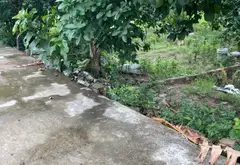 Lô Đất Vàng Giữa Lòng Thôn Hầu Cực Chill... Bán đất tại Thiên Hương, Hải Phòng 02