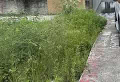Lô đất vàng sát siêu dự án Vinhomes - Kinh doanh hay đầu tư đều đỉnh... Bán đất tại An Dương, Hải Phòng 01