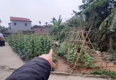 Đất nhỏ xinh đối diện trường đua ngựa, cơ hội đầu tư tuyệt vời... Bán đất tại Sóc Sơn, Hà Nội 02