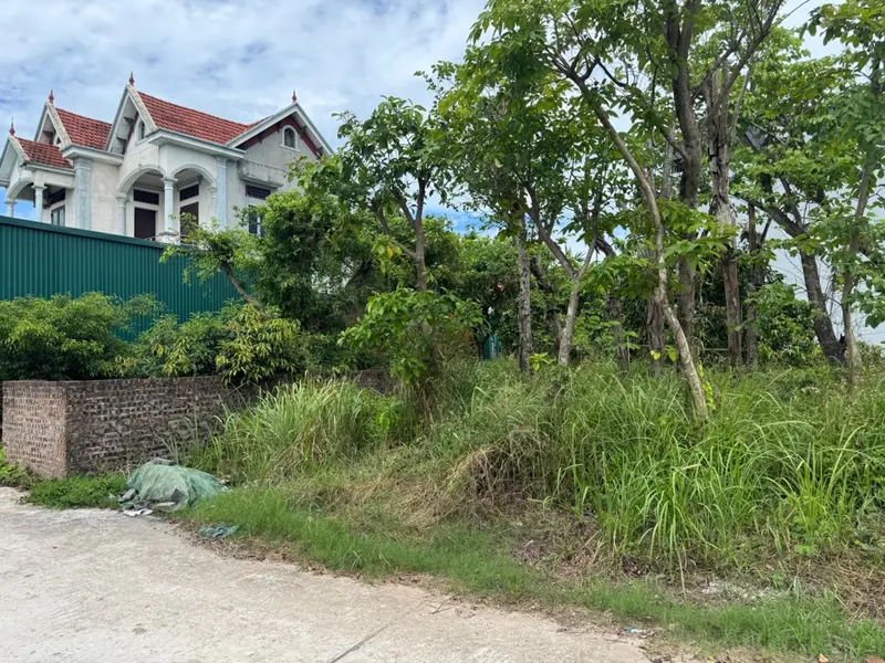 Bán đất tại Kim Ngưu, 65m2 chỉ nhỉnh 3 tỷ 🌹... Bán đất tại Văn Giang, Hưng Yên 01