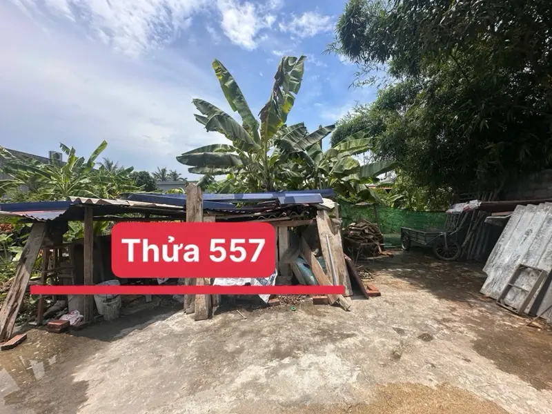 Cơ Hội Vàng Sở Hữu Đất Trung Tâm Bát Trang, An Lão Giá Đầu Tư Hiếm Có... Bán đất tại An Lão, Hải Phòng 01