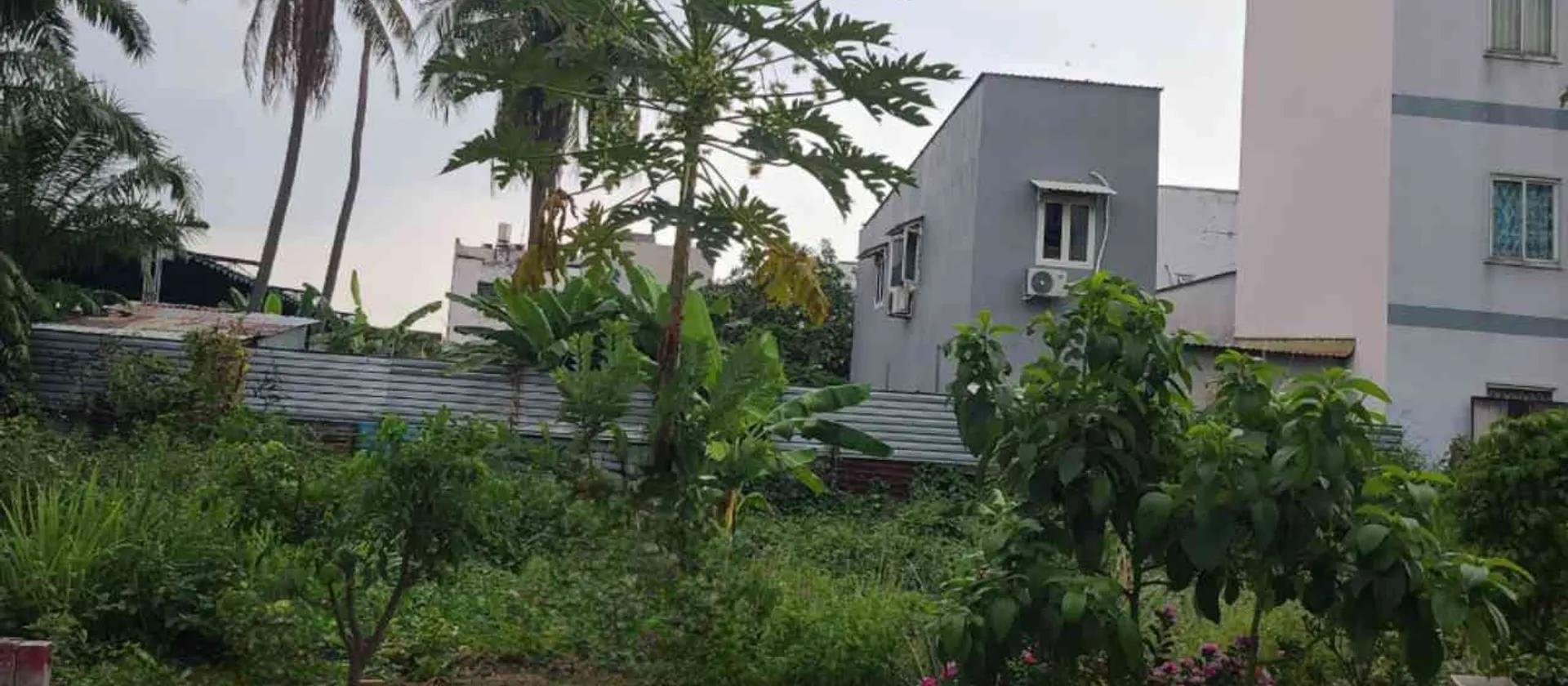 Bán đất Phường An Phú Đông, Hồ Chí Minh, diện tích 54.4 m2, pháp lý rõ ràng... Bán đất tại An Phú Đông, Hồ Chí Minh 01