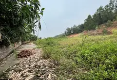 Cơ hội sở hữu đất phân lô mặt tiền rộng – xe ô tô đỗ cửa tại Phù Lãng Bắc Ninh... Bán đất tại Phù Lãng, Bắc Ninh 03