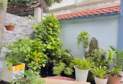 Nhà góc 2 mặt hẻm siêu thoáng tại Tân Bình, giá tốt... Bán nhà riêng tại Tân Sơn, Hồ Chí Minh 09