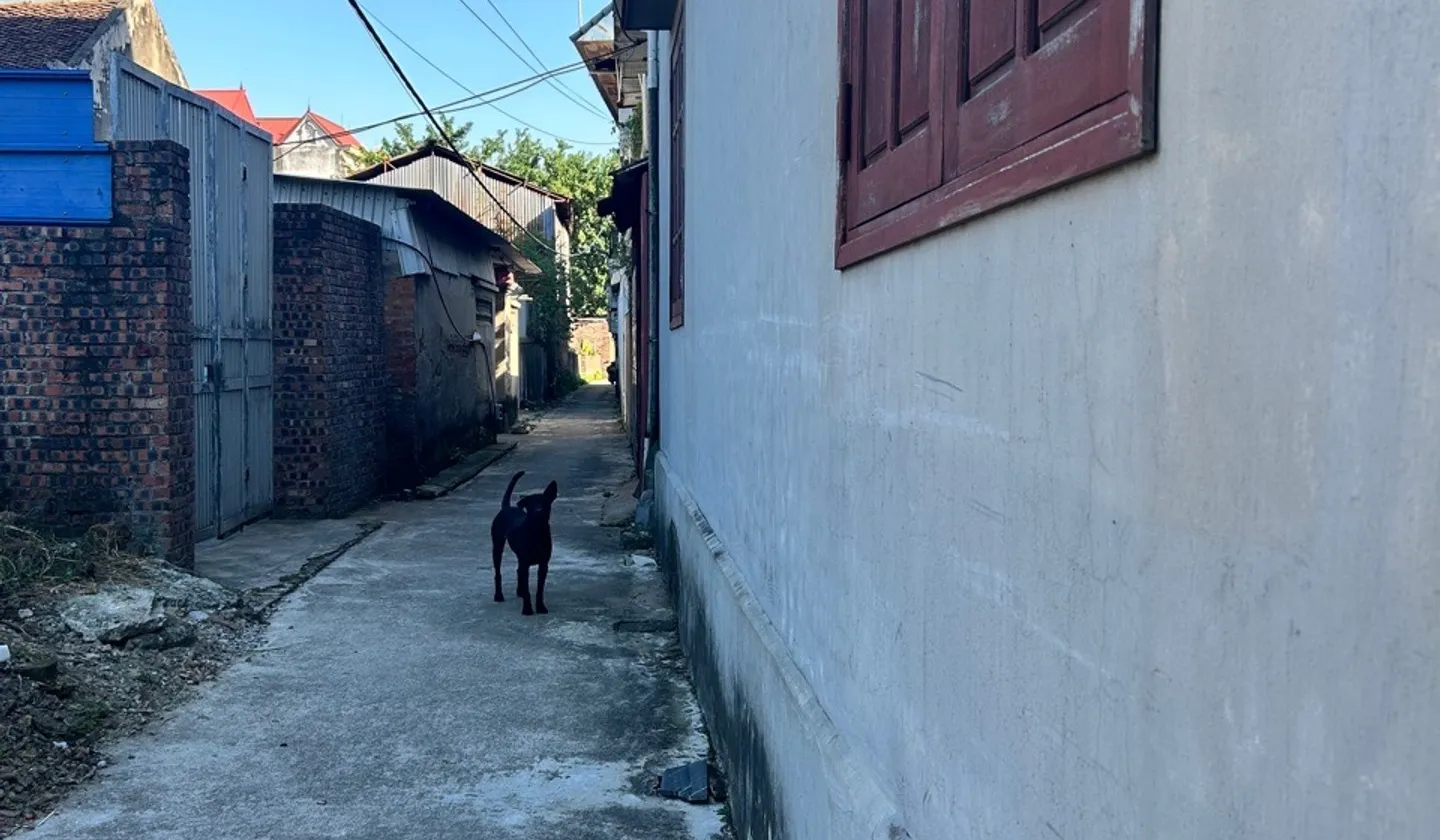 Bán đất phân lô xã Văn Môn, Bắc Ninh, diện tích 73.6m², giá 1.7 tỷ... Bán đất tại Văn Môn, Bắc Ninh 01