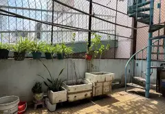 Bán nhà 3 tầng, 4 phòng ngủ ngay Quận 6, đường rộng 7m... Bán nhà riêng tại Phú Lâm, Hồ Chí Minh 09