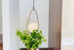 Cơ hội sở hữu chung cư mini 7 tầng mặt tiền rộng tại trung tâm Tạ Quang Bửu... Bán chung cư mini tại Bạch Mai, Hà Nội 03