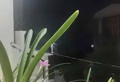 Nhà riêng 3 tầng rộng rãi tại Tân Tạo, Thành phố Hồ Chí Minh, giá ưu đãi... Bán nhà riêng tại Tân Tạo, Hồ Chí Minh 05