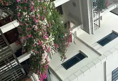 Đất vuông vắn mặt tiền rộng tại Tân Hồng - nội đô Từ Sơn... Bán đất tại Từ Sơn, Bắc Ninh 13