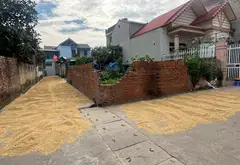 Cơ hội sở hữu lô đất góc mặt tiền đẹp tại trung tâm xã Kim Anh... Bán đất tại Kim Anh, Hà Nội 07