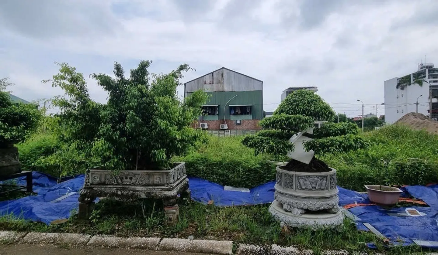 BDS căn nhà MẶT HỒ - trung tâm BỒ ĐỀ - 9.x TỶ ( có thương lượng) - VỈA HÈ RỘNG - KINH DOANH
35m2 x... Bán đất tại Thạch Thất, Hà Nội 01