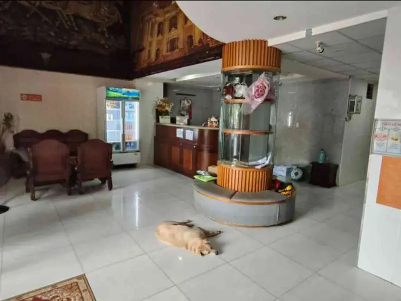 Nhà 6 tầng siêu rộng gần Vạn Hạnh Mall, Quận 10... Bán nhà riêng tại Hòa Hưng, Hồ Chí Minh 01
