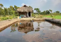 B.á.n đất Hóc Môn, sổ hồng chính chủ, 1583m2, gần chợ, Đại học lao động xã hội…, nhỉnh 5 tỷ... Bán đất tại Đông Thạnh, Hồ Chí Minh 05