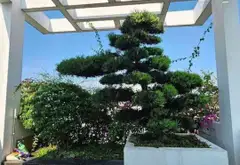 Nhà 3 tầng 4x25m, mt chợ chữ S, Trần Văn Mười, Hóc Môn, 7 tỷ... Bán nhà mặt phố tại Xuân Thới Sơn, Hồ Chí Minh 06