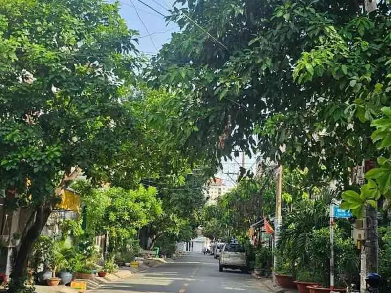 Nhà mặt phố Tây Sơn siêu đẹp, kinh doanh đỉnh, giá tốt... Bán nhà mặt phố tại Phú Thọ Hòa, Hồ Chí Minh 01