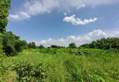Bán đất phường Tam Bình, TP Thủ Đức, diện tích lớn giá hợp lý... Bán đất tại Tam Bình, Hồ Chí Minh 07