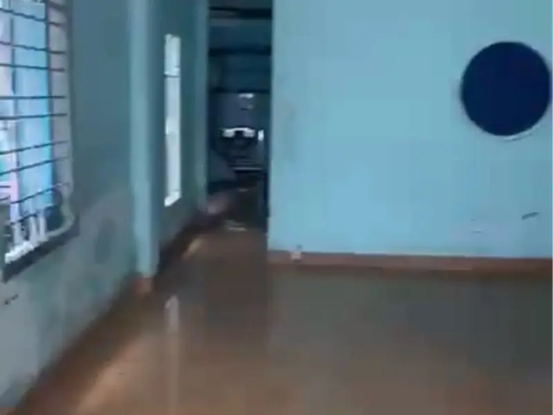 Bán nhà 2 tầng diện tích 76.5m2 tại Tân Bình giá 7.2 tỷ... Bán nhà riêng tại Tân Sơn, Hồ Chí Minh 01