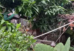 ĐẤT KIỆT 5M NGUYỄN VĂN THOẠI - 89.3m² - Sơn Trà, Đà Nẵng - 18.9 tỷ 0762,658,925 – HIỀN... Bán đất tại Sơn Trà, Đà Nẵng 02