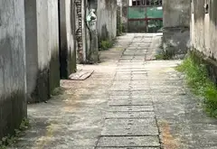 Bán đất khu phố Phúc Tinh, Tam Sơn, mặt tiền 24m, giá đầu tư... Bán đất tại Tam Sơn, Bắc Ninh 02