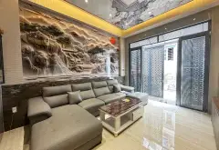 BANNHA NGAY ĐƯỜNG SỐ 8 - GẦN TRỤC ĐƯỜNG THỐNG NHẤT - 55M2 - HXH ĐỖ NGÕ - GIA 7.x Tỷ... Bán nhà riêng tại Thông Tây Hội, Hồ Chí Minh 02
