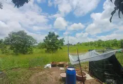 Đất Góc 3 Mặt Tiền 10.081m2 - Cơ Hội Vàng Tại Hưng Long... Bán đất tại Bình Chánh, Hồ Chí Minh 09