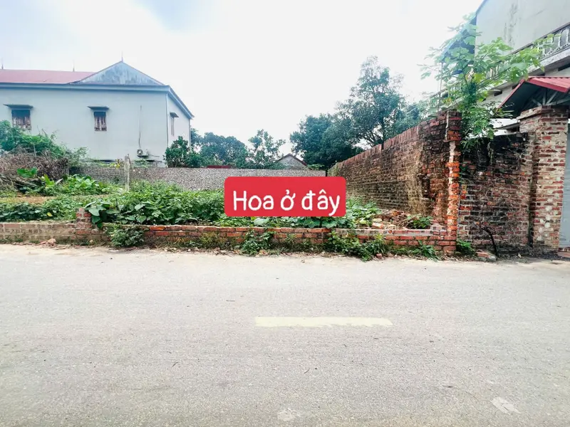 Đất đỉnh Vệ Linh Sóc Sơn, thổ cư sẵn, ô tô vào thoải mái... Bán đất tại Sóc Sơn, Hà Nội 01