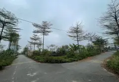 Bán 68m2 Đất Vàng Đấu Giá Khu Cây Sung - Đan Phượng, Phân lô , ô tô tránh, xây nhà ở sướng.... Bán đất tại Đan Phượng, Hà Nội 05