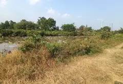 Bán đất trồng cây 6600m2 mặt tiền bờ kênh, giá tốt tại tỉnh lộ 15... Bán đất tại Hóc Môn, Hồ Chí Minh 08