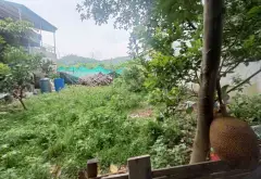 BÁN ĐẤT TẶNG NHÀ – DT 120M² HÀ KHÁNH 2, CAO XANH – GIÁ 3,5 TỶ... Bán đất tại Cao Xanh, Quảng Ninh 06
