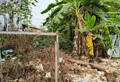 Cơ hội hiếm có sở hữu nhà mặt tiền khu phân lô Dương Công Khi giá tốt... Bán nhà riêng tại Xuân Thới Sơn, Hồ Chí Minh 03