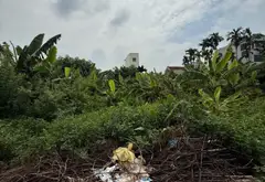 Cơ hội vàng sở hữu đất ngay trục kinh doanh đắt giá tại Văn Giang... Bán đất tại Văn Giang, Hưng Yên 04