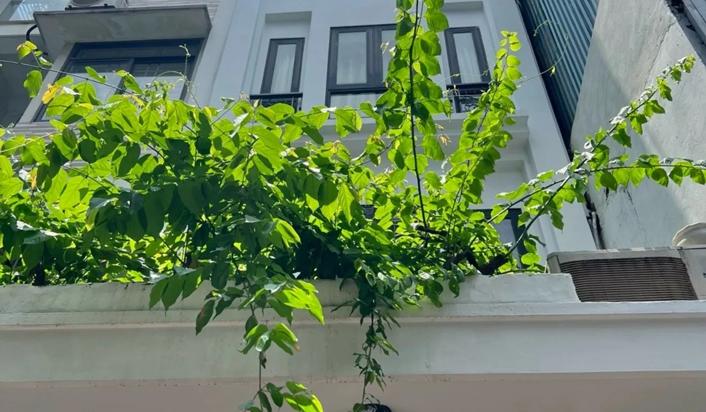 Bán nhà riêng 5 tầng, phân lô 50m, ngõ thông phố Trần Khát Chân, giá nhỉnh 15tỷ... Bán nhà riêng tại Hai Bà Trưng, Hà Nội 01