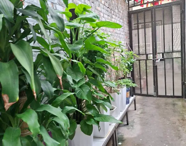Nhà riêng xây dựng tỉ mỉ tại trung tâm Ngọc Thụy với nhiều tiện ích... Bán nhà riêng tại Bồ Đề, Hà Nội 01