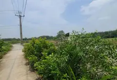 Bán đất 3380m2 mặt tiền 38m tại An Thới Đông Cần Giờ, giá 5.3 tỷ... Bán đất tại An Thới Đông, Hồ Chí Minh 02
