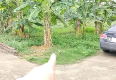 Bán đất vị trí vàng gần Quốc lộ 3, diện tích 112m2, pháp lý rõ ràng... Bán đất tại Trung Giã, Hà Nội 01