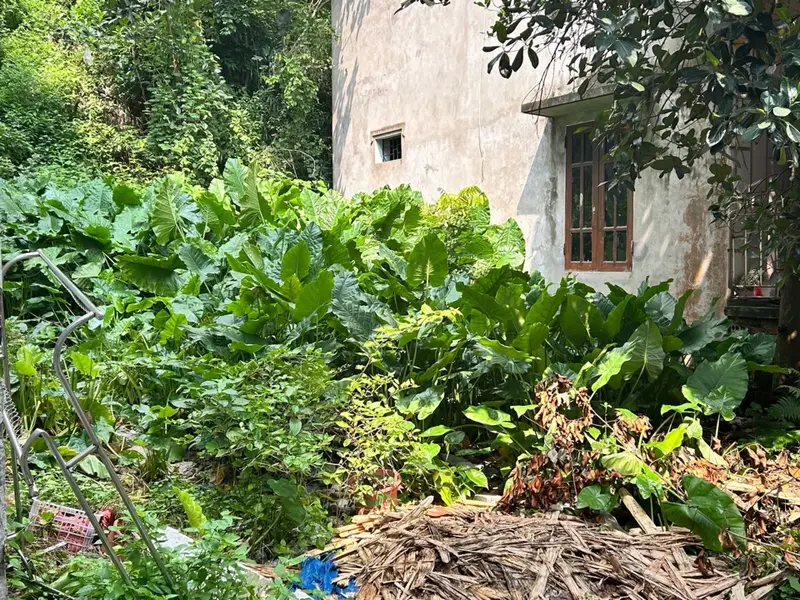 Bán đất rộng 243m² tại xã Hoàn Sơn, Đại Đồng, Bắc Ninh, mặt tiền 6m, ngõ ô tô nhỏ vào tận đất... Bán đất tại Đại Đồng, Bắc Ninh 01
