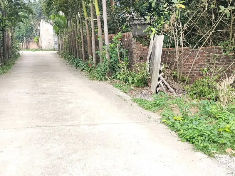 Cơ Hội Đầu Tư Đất Nền Đan Tảo, Tân Minh Chỉ 3 Tỷ VNĐ... Bán đất tại Sóc Sơn, Hà Nội 01