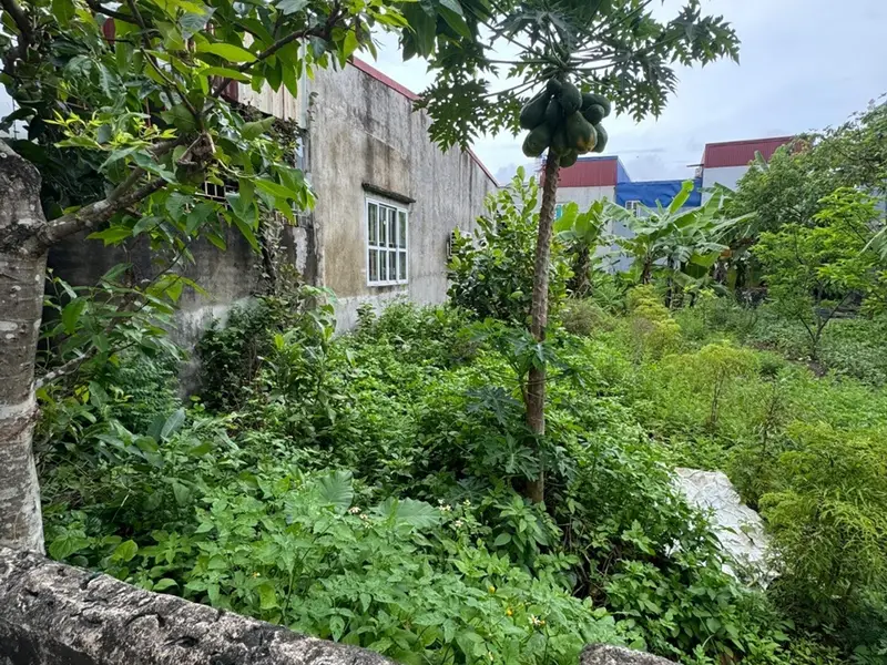 Đất An Hải siêu đẹp, tiềm năng tăng giá cực khủng... Bán đất tại An Hải, Hải Phòng 01