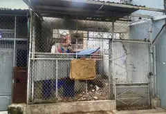SÁT HẺM XE HƠI PHÚ THỌ HOÀ - TÂN PHÚ... Bán đất tại Phú Thọ Hòa, Hồ Chí Minh 05