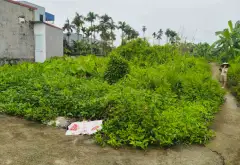 Lô đất vị trí thuận lợi tại phường Thiên Hương, Hải Phòng... Bán đất tại Thiên Hương, Hải Phòng 12