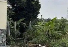 Đất nền rộng rãi tại phường Thiên Hương, Thủy Nguyên, Hải Phòng... Bán đất tại Thiên Hương, Hải Phòng 01