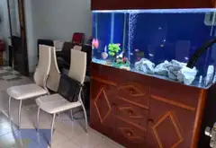 Cơ hội sở hữu căn hộ 3 phòng ngủ mặt tiền Nguyễn Biểu, Quận 5 giá tốt hiếm có... Bán căn hộ chung cư tại Chợ Quán, Hồ Chí Minh 01