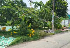 Bán Nhà Riêng Xã Bà Điểm Hóc Môn 94m2 3 Tầng 12 Phòng Trọ Đường 8m SHR... Bán nhà riêng tại Bà Điểm, Hồ Chí Minh 01