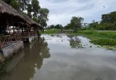 3000M2 ♻️ BIỆT THỰ ĐẲNG CẤP THƯỢNG LƯU | LÁI THIÊU | BẾN DU THUYỀN | SÔNG SÀI GÒN... Bán nhà mặt phố tại Lái Thiêu, Hồ Chí Minh 02