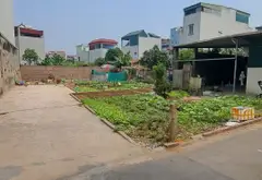 Cơ hội hiếm có: Đất thổ cư Phúc Lợi mặt tiền rộng, đầu tư sinh lời ngay... Bán đất tại Long Biên, Hà Nội 04