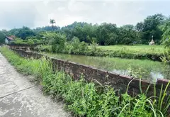 Bán đất 4187m2 Thôn 2 Trung Giã, mặt tiền 105m, đường ô tô thông... Bán đất tại Trung Giã, Hà Nội 01