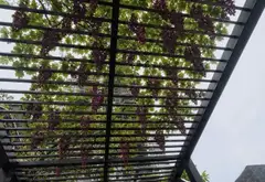 Shophouse Đặc Quyền Tại Khu Hồ Thiên Nga EcoPark... Bán Shophouse tại Phụng Công, Hưng Yên 05